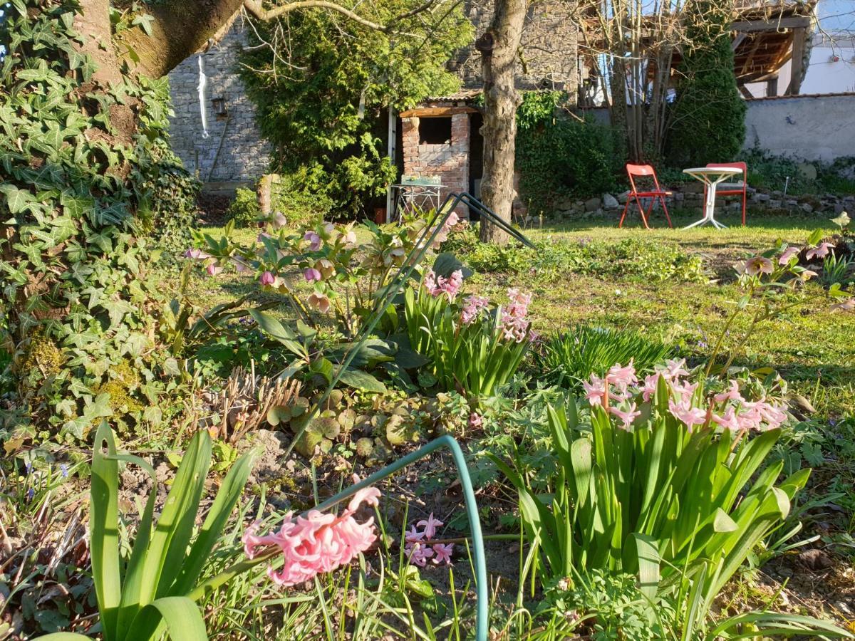 Unser Obervolkacher Ferienhaus-Einfach Gemutlich! Esterno foto