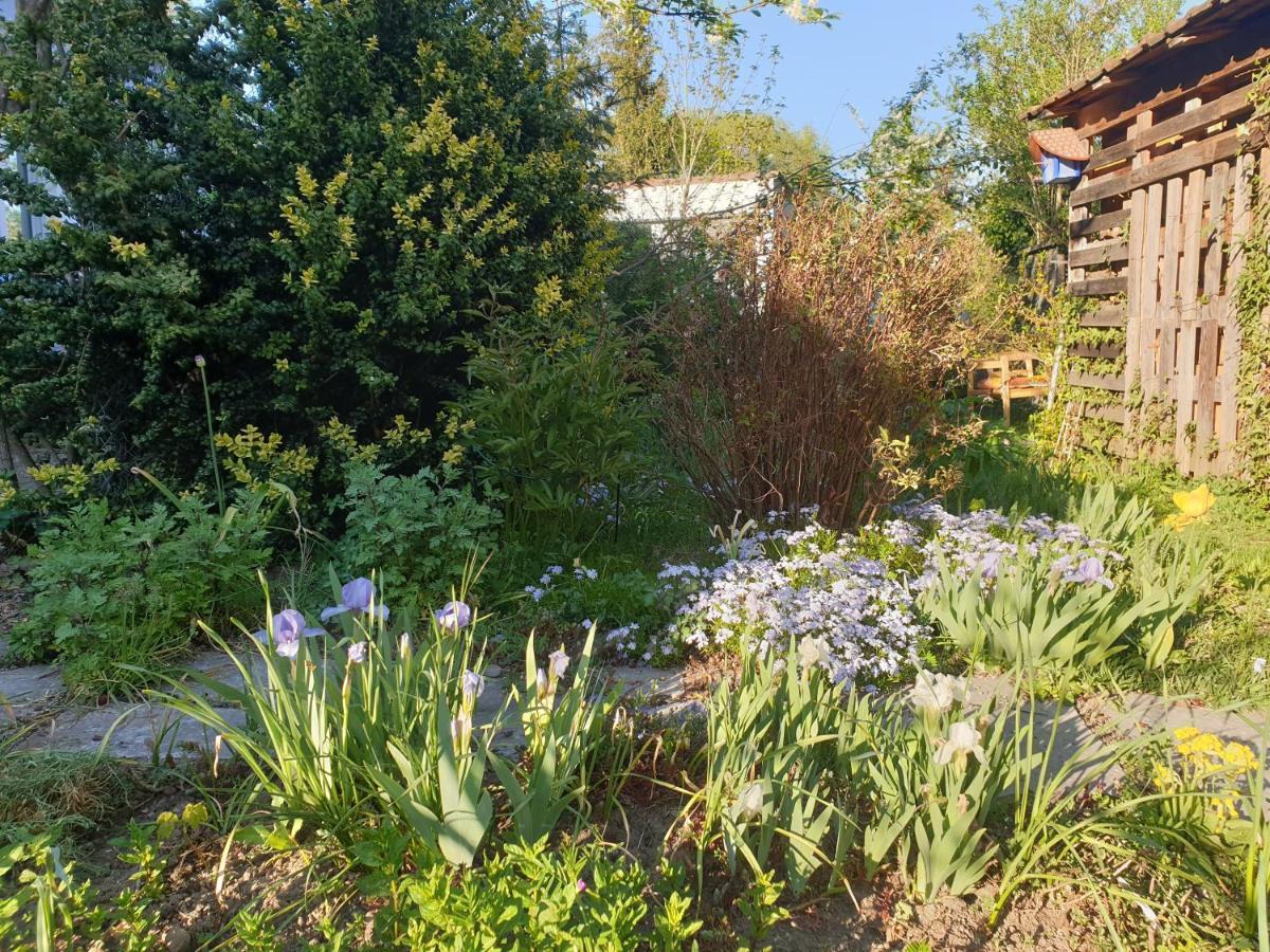 Unser Obervolkacher Ferienhaus-Einfach Gemutlich! Esterno foto